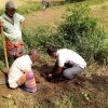 නිදහස් දින සැමරුම - 2021